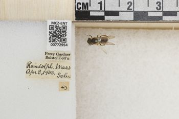 Media type: image;   Entomology 772954 Aspect: Labels